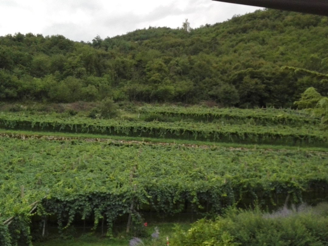马索塔帕皮纳农场酒店