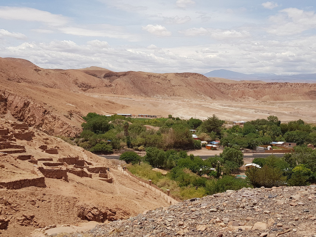 Pukara de Quitor景点图片