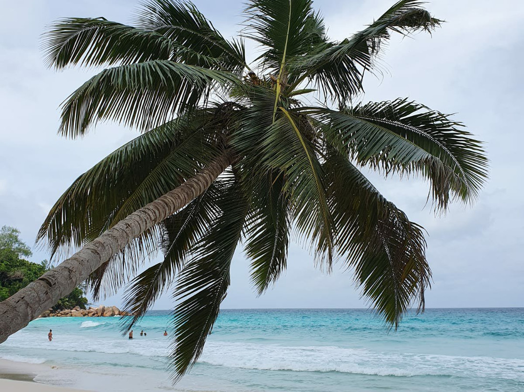 Donster Services Seychelles景点图片