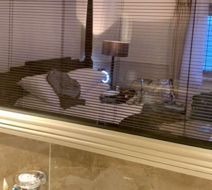 Tracy Park Golf & Country Hotel主图