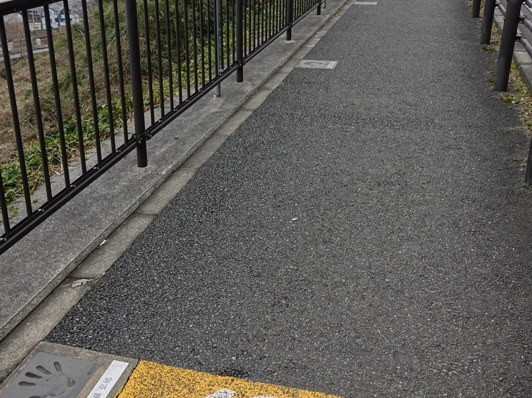 Yomiuri V Road-稻城市必去景点