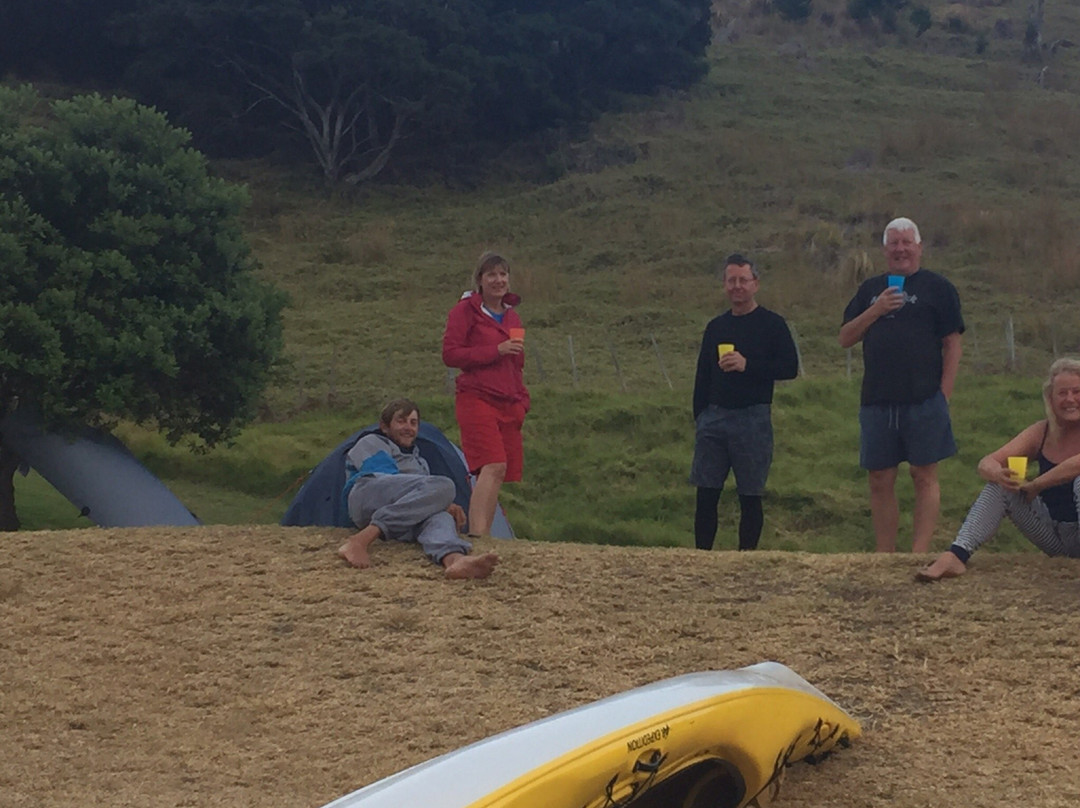 Bay of Islands Kayaking-派希亚必去景点