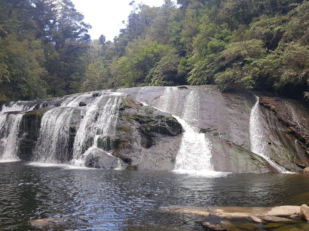 Coal Creek Track景点图片