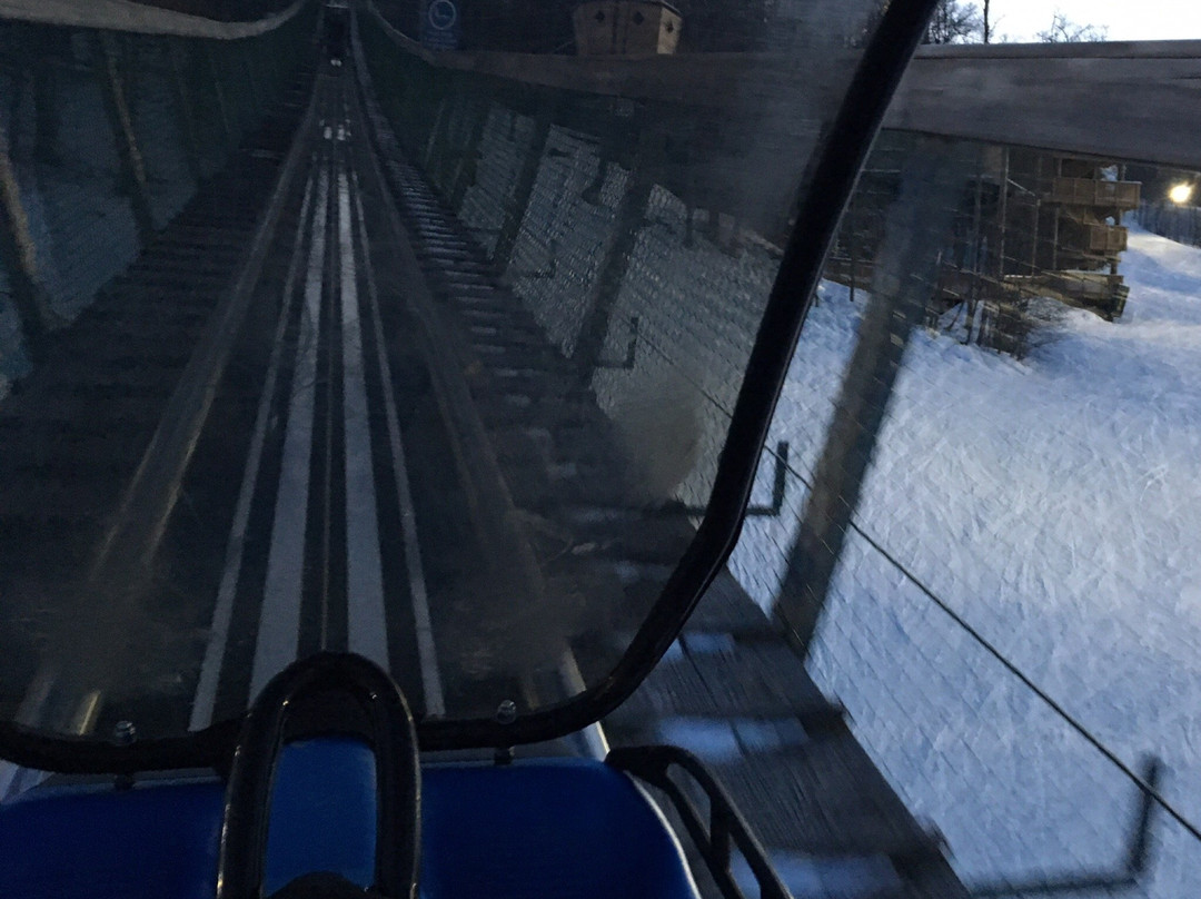 Ridge Runner Mountain Coaster-蓝山必去景点