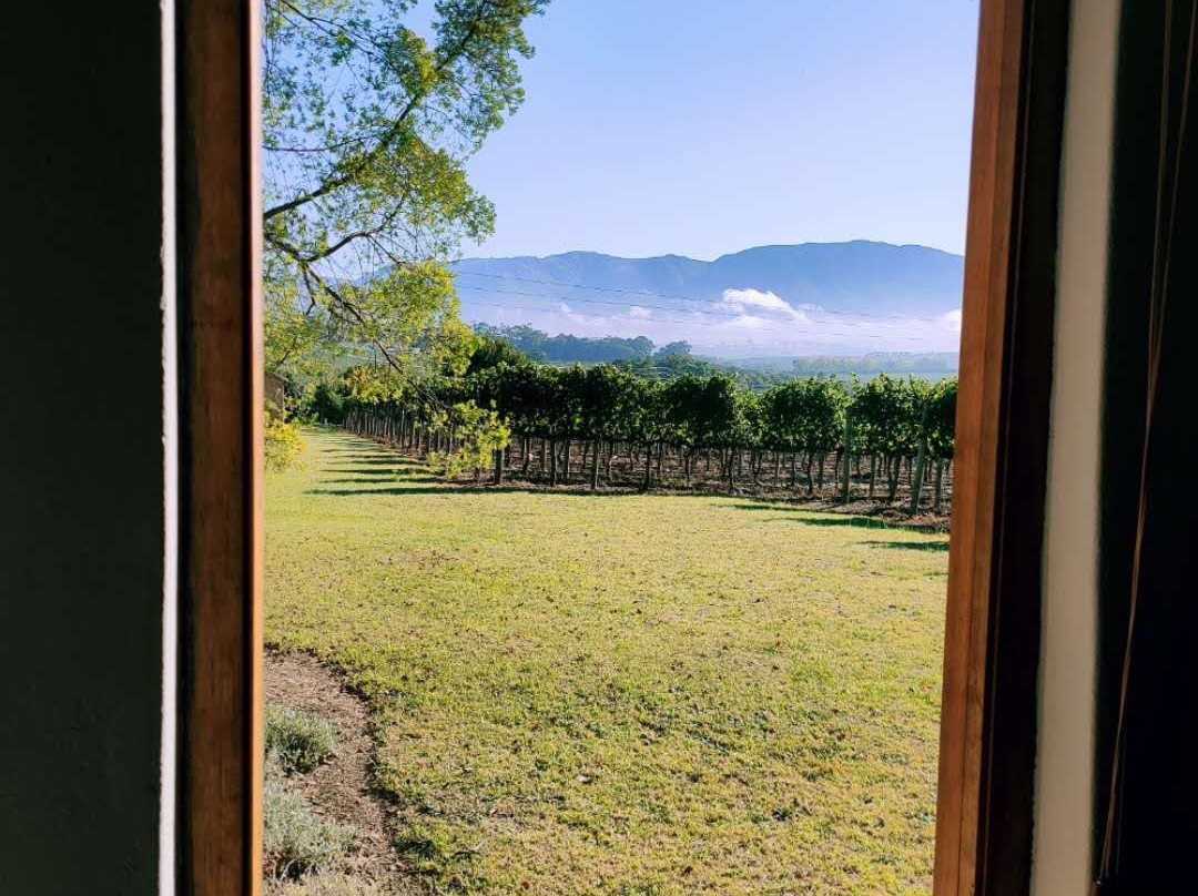 Belfield Farm Cottages主图