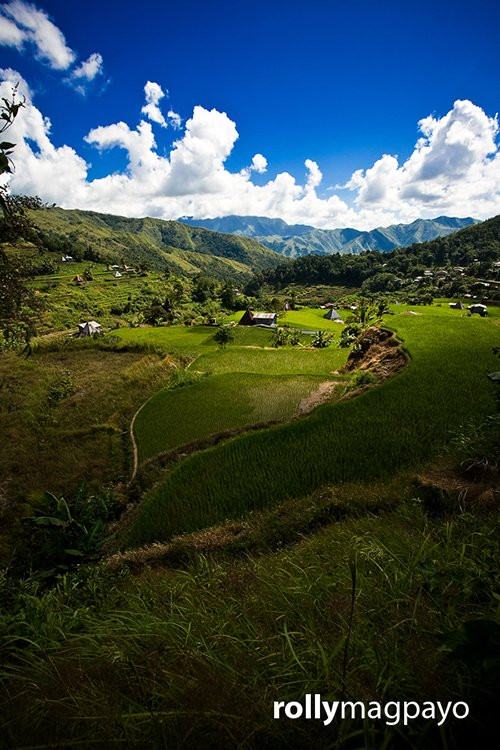 Mayoyao Rice Terraces景点图片