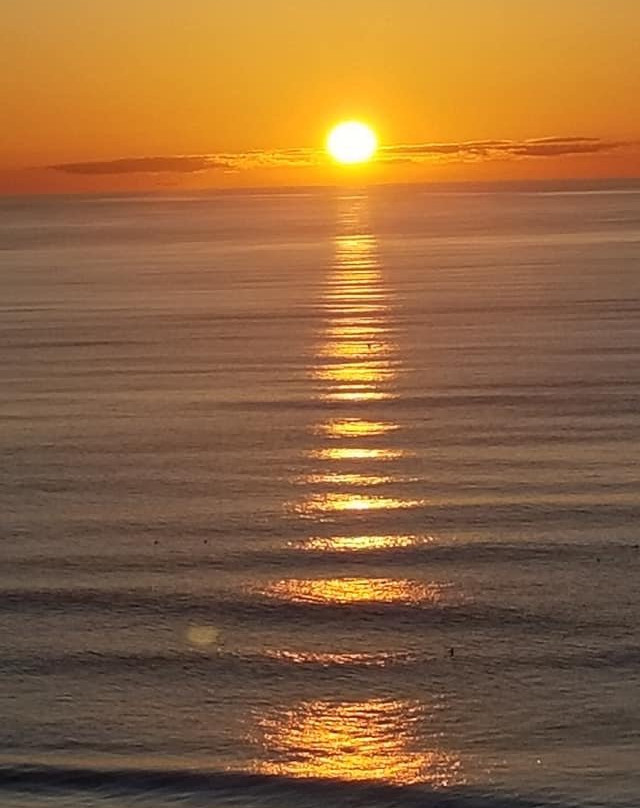 Shell Island Resort主图