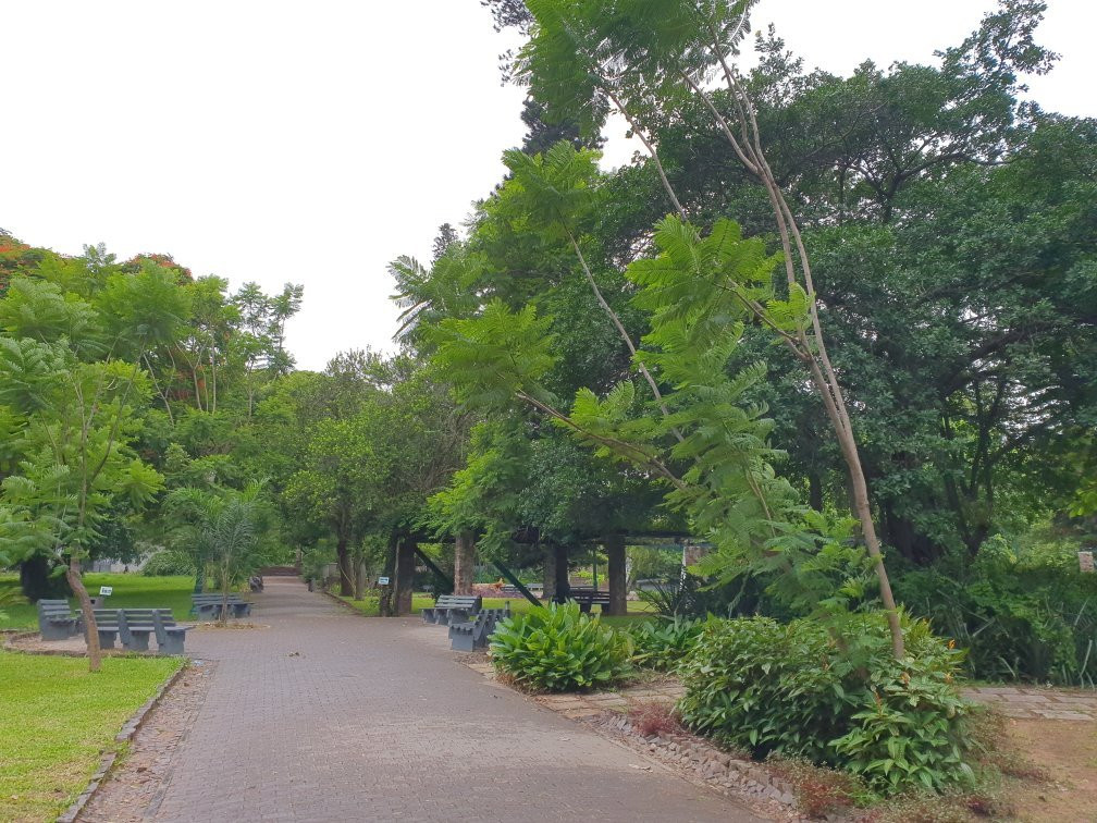 Tunduru Botanical Gardens景点图片