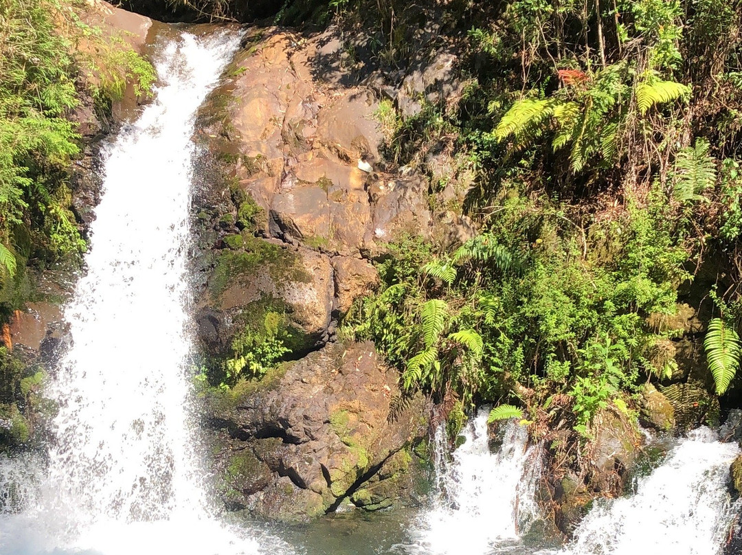 Ojos del Huishue-Lago Ranco必去景点