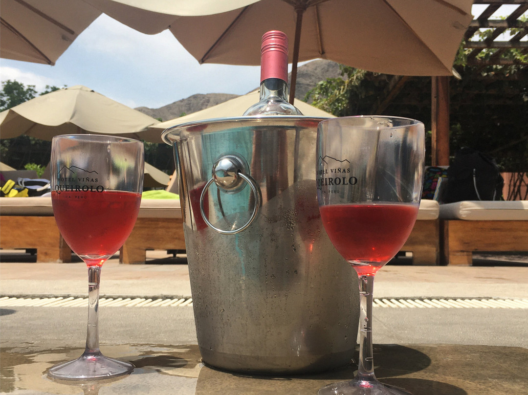 Hotel Viñas Queirolo主图
