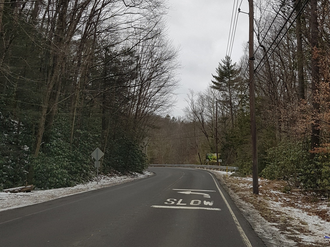 Big Pocono State Park景点图片