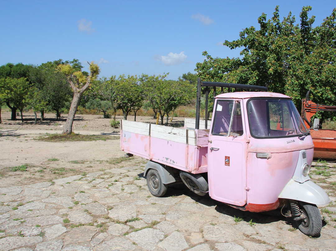 Kite Lab - Kitesurfing School in Sicily-马尔萨拉必去景点