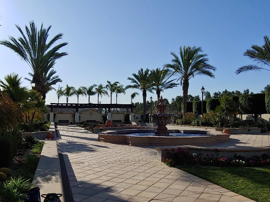 Tijuana México Temple-蒂华纳必去景点