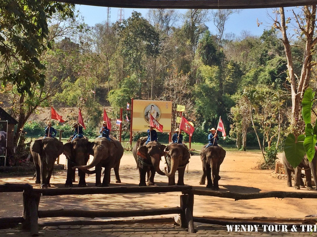 Thai Elephant Conservation Center-限察必去景点