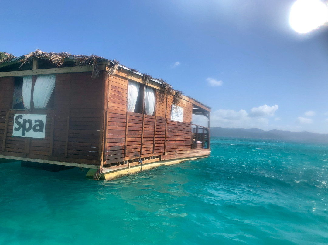 Ocean Spa-Jost Van Dyke必去景点