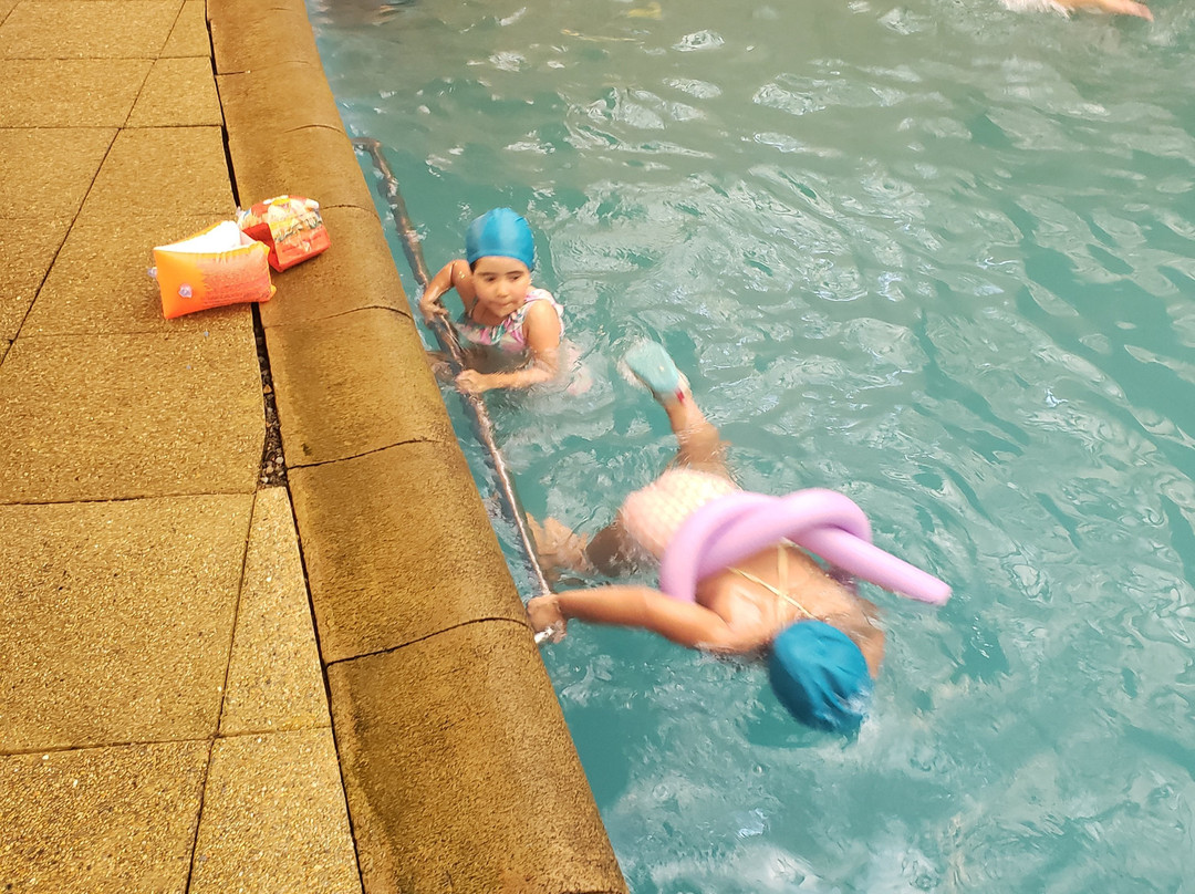 Termas Llifen-Futrono必去景点