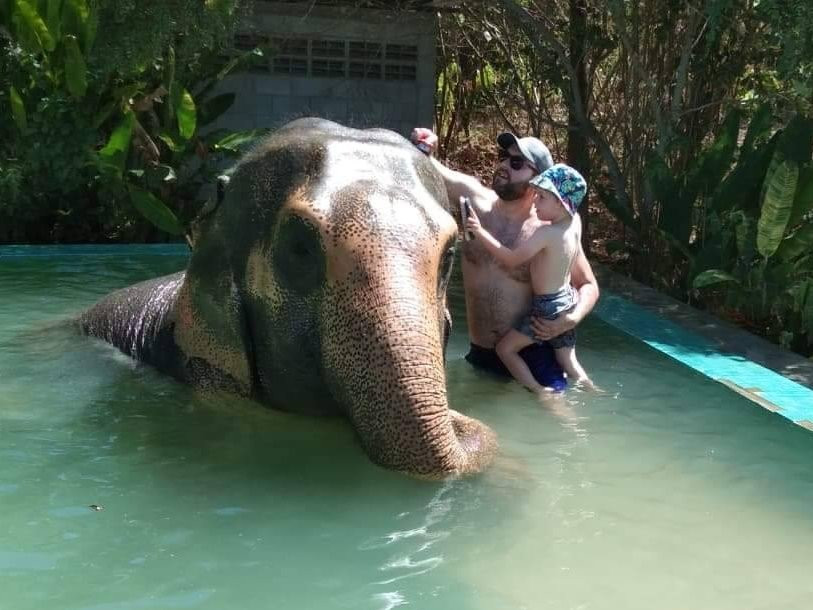 Phuket Eco Elephant Park景点图片