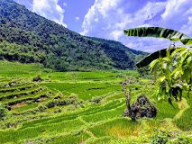 Thanh Hoa Travel景点图片