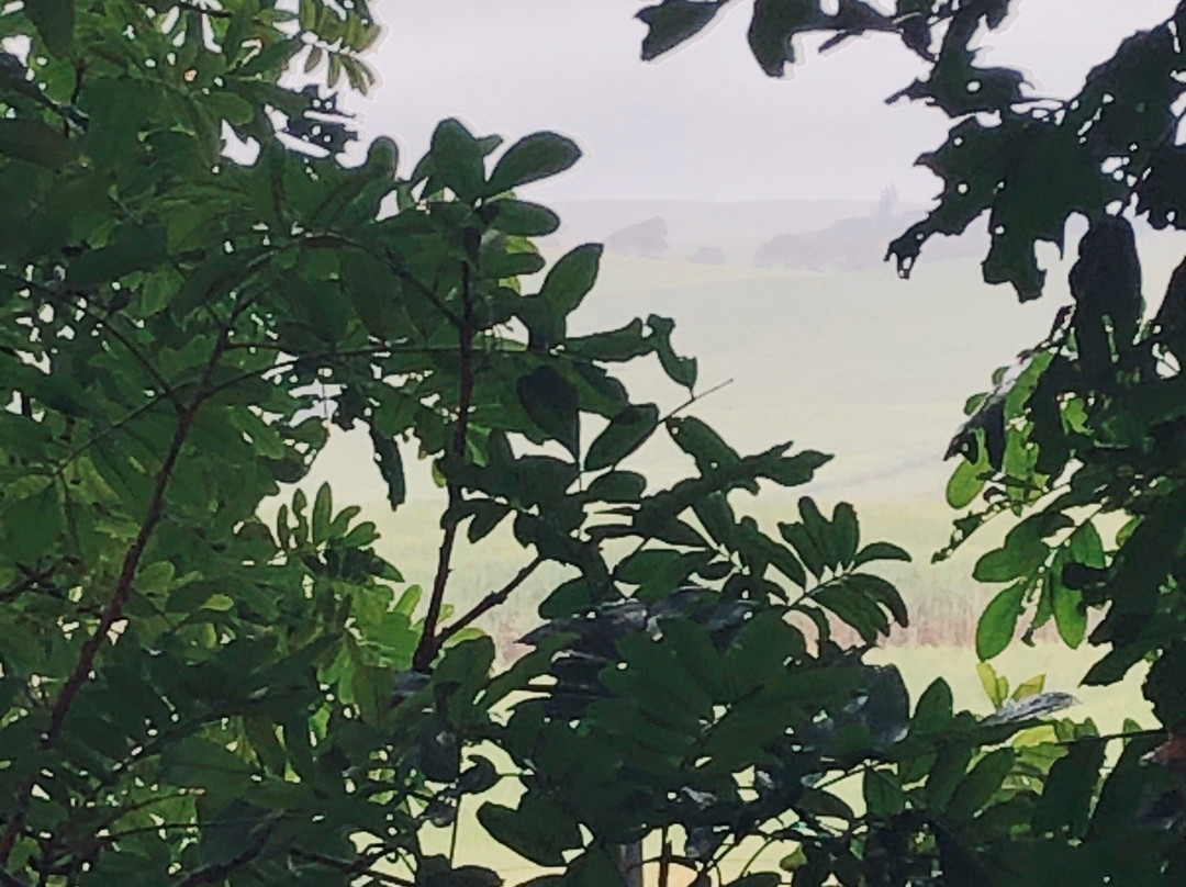 Chantilly Resort主图