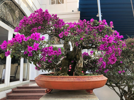 萨米达拉酒店主图