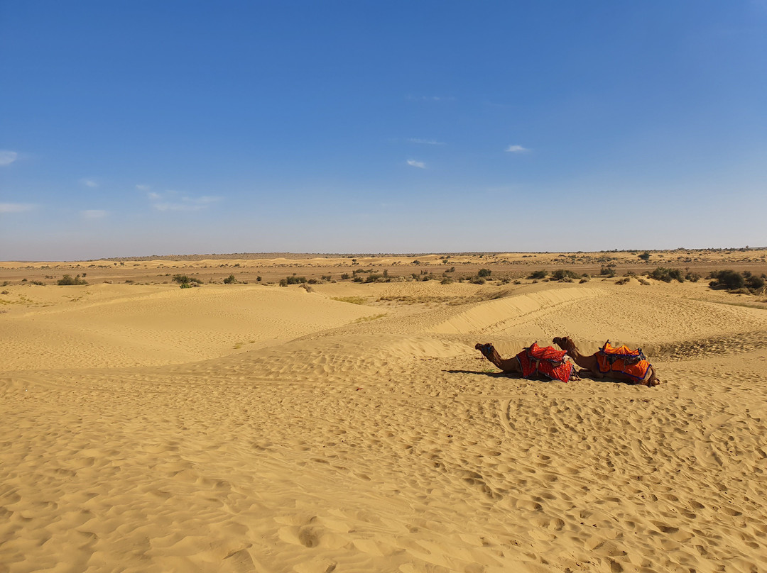 K K Resorts & Camp主图