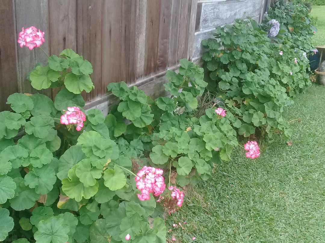 Paraiso do Miguel-Blumenau必去景点