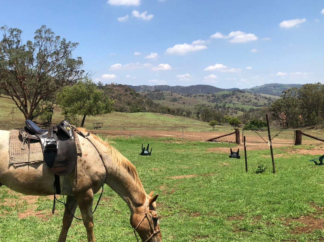 Leconfield-Mulla Creek必去景点