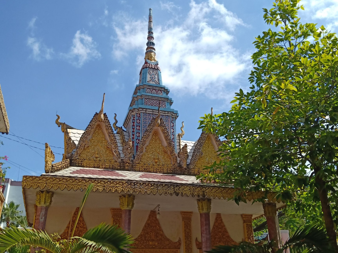 Can Tho Museum-芹苴必去景点