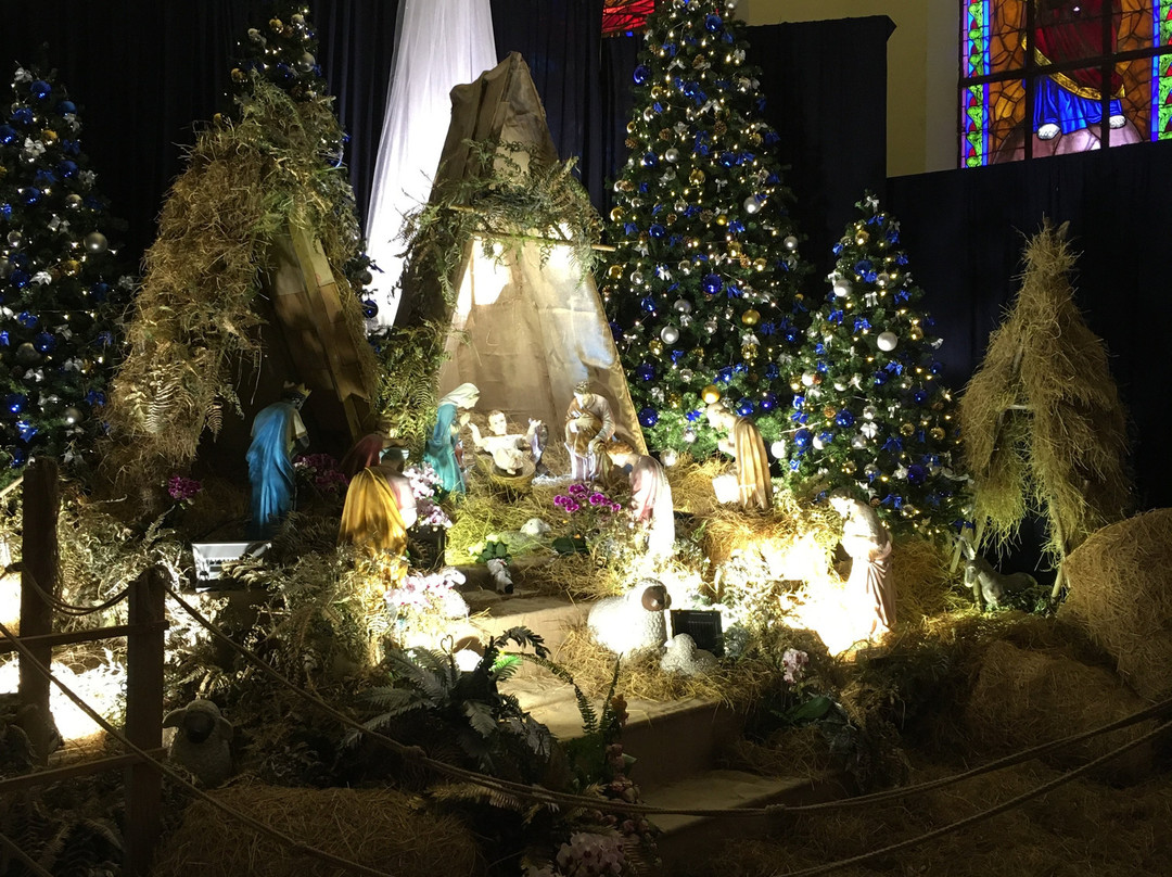 大叻天主教堂-大勒必去景点