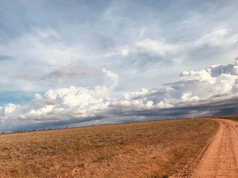 Ogutu Safari-马林地必去景点