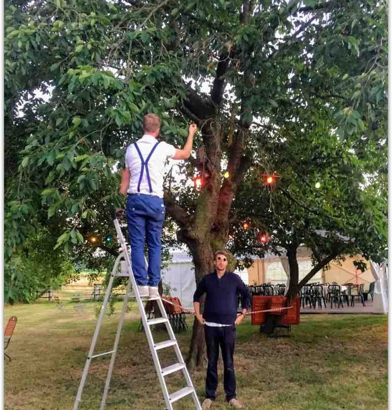 Rehden餐馆和美食-Landgasthaus Halfbrodt