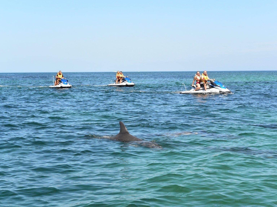 Jet Ski Tours Perth-罗金厄姆必去景点