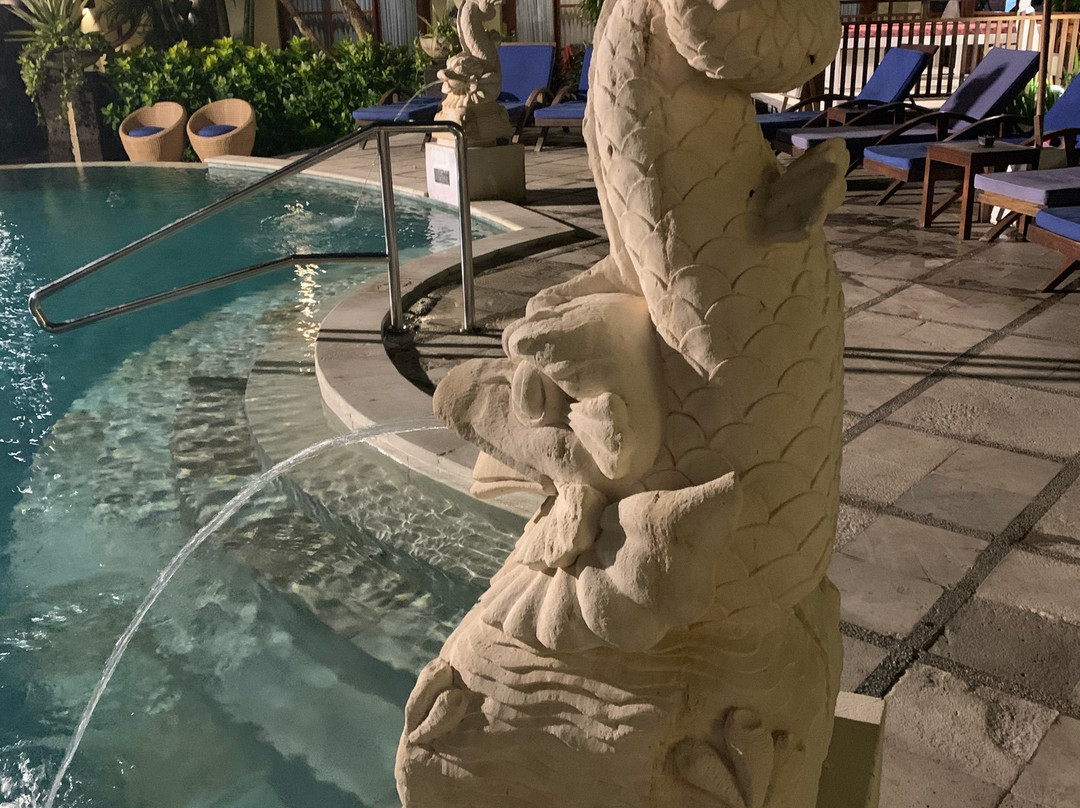 阿迪嘉雅酒店主图