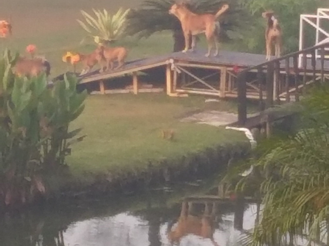 莱恰克旅馆主图