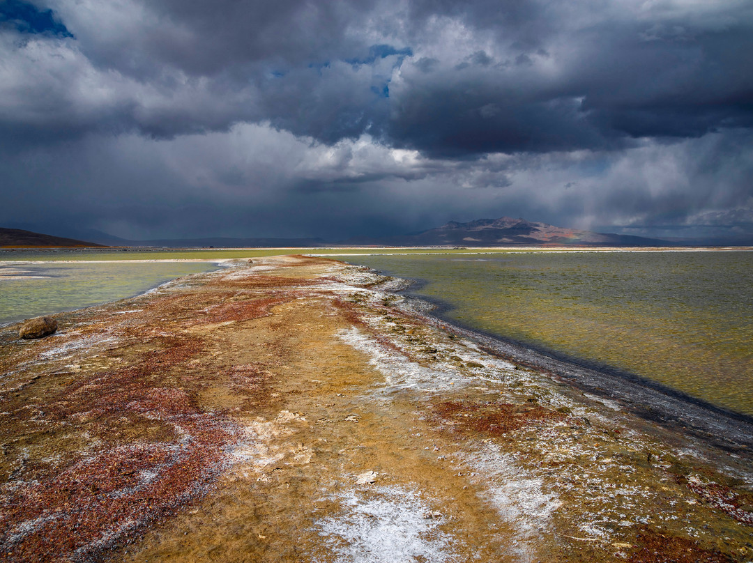 Peru Nat Red-阿雷基帕必去景点