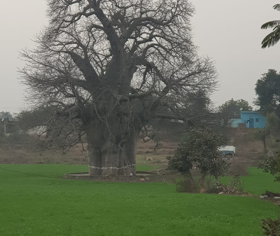 Friends of Orchha主图