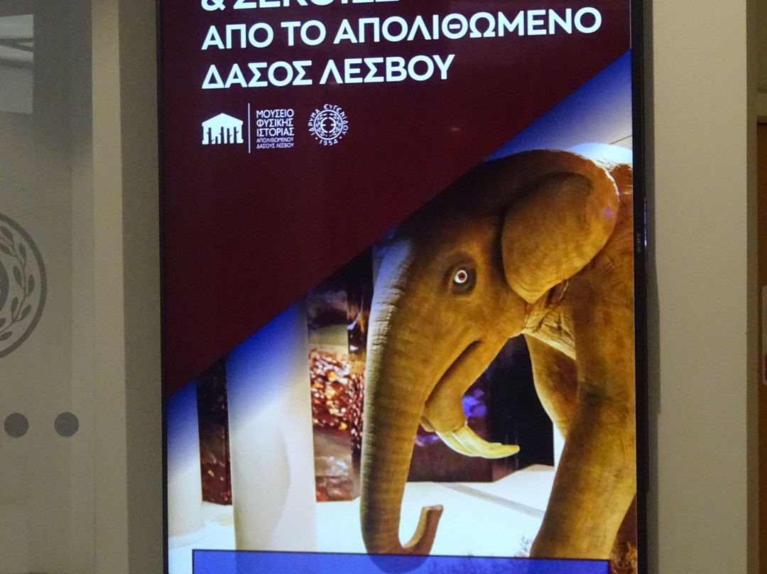 Eugenides Planetarium-帕里欧弗里欧必去景点