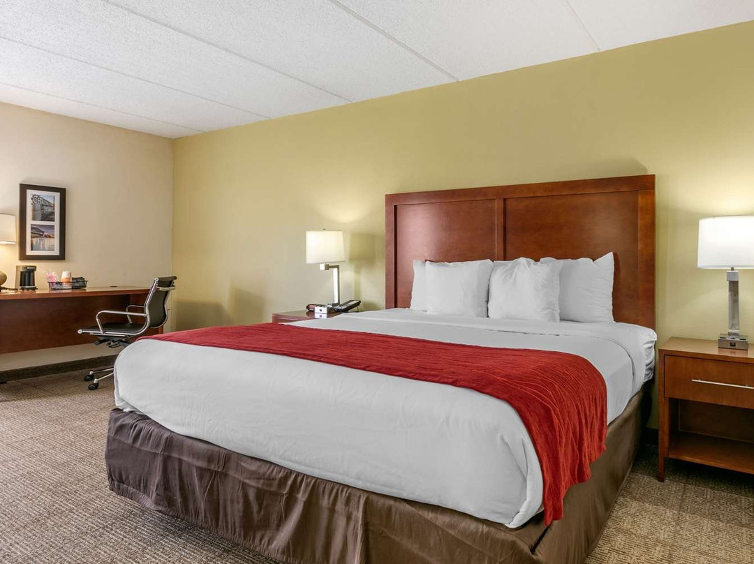 Comfort Inn Downtown主图