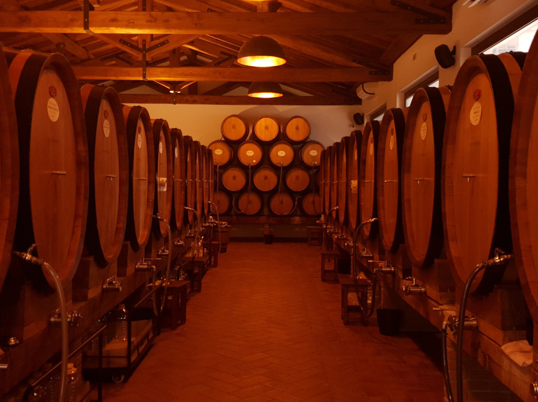 Cantina Sant'Andrea Azienda Agricola景点图片