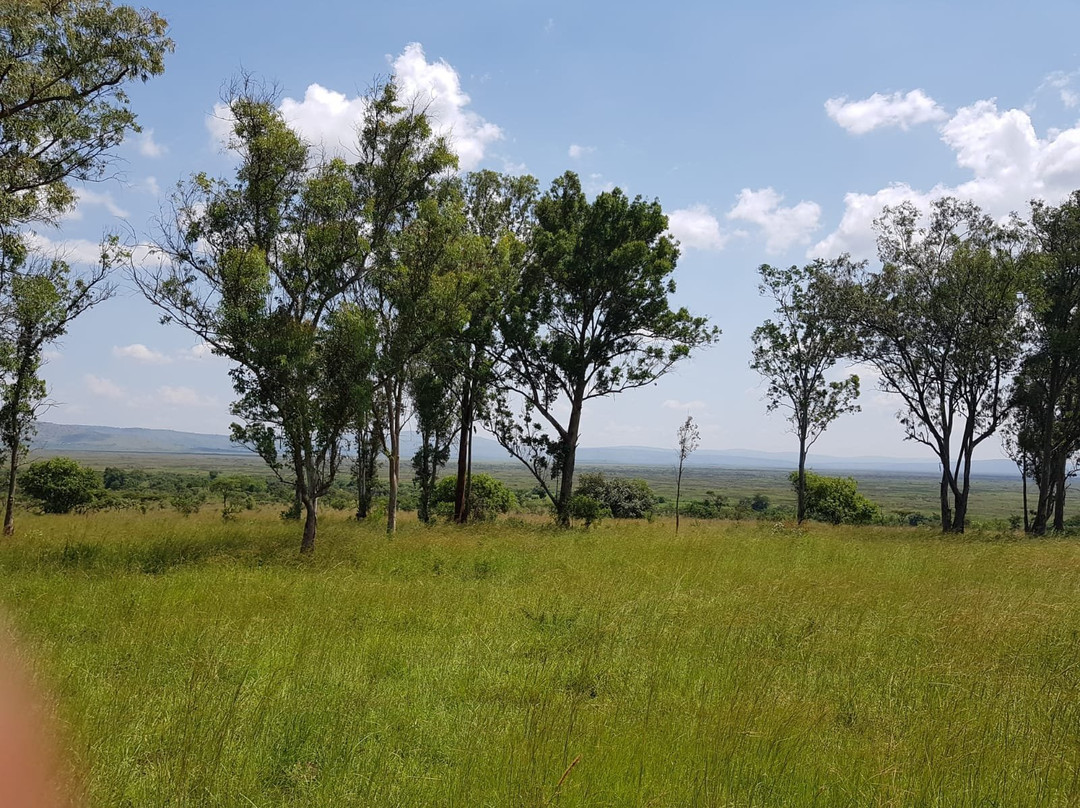 A Step Into Nature Tours-吉佳利必去景点