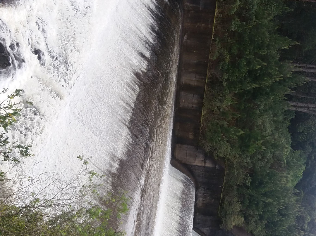 Barragem do Arroio Faxinal-南卡希亚斯必去景点
