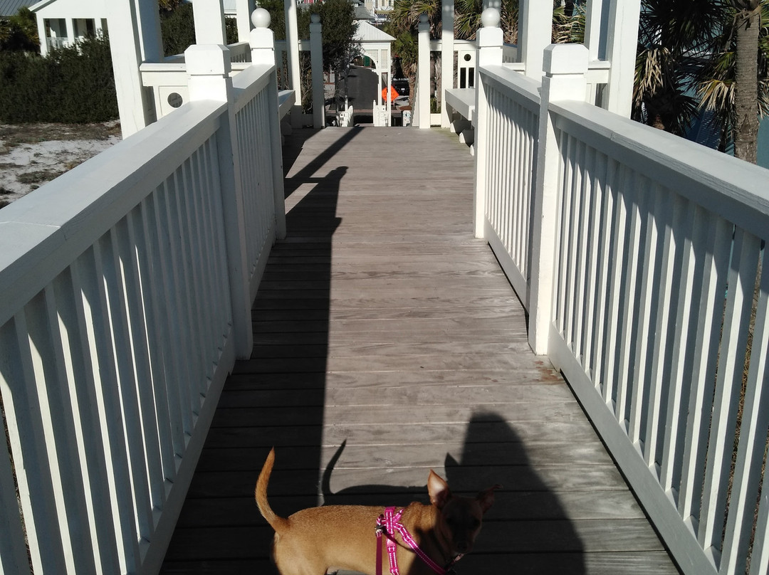 卡里隆海滩度假旅馆主图