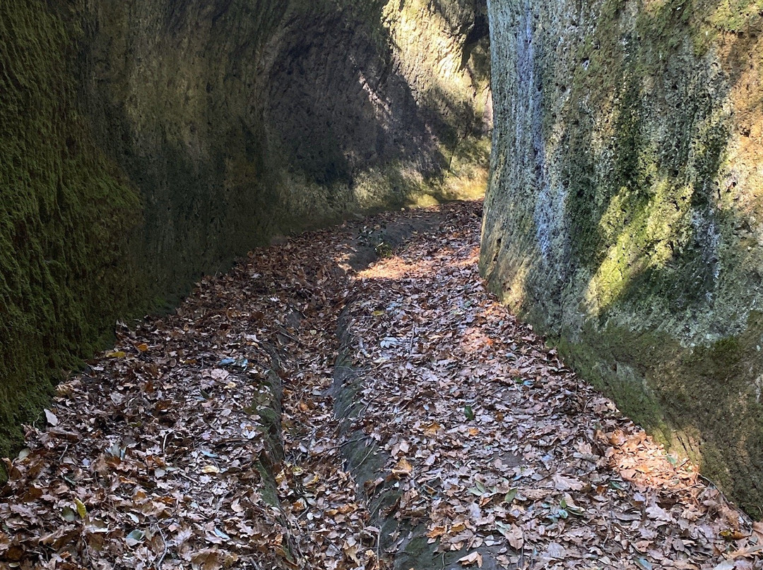 Via Cava-Sovana必去景点