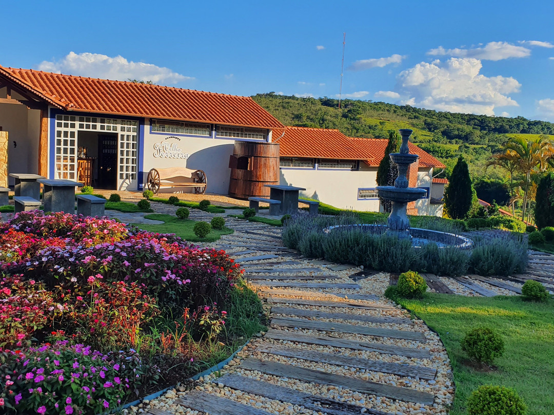 Cachaça Velho Ferreira
