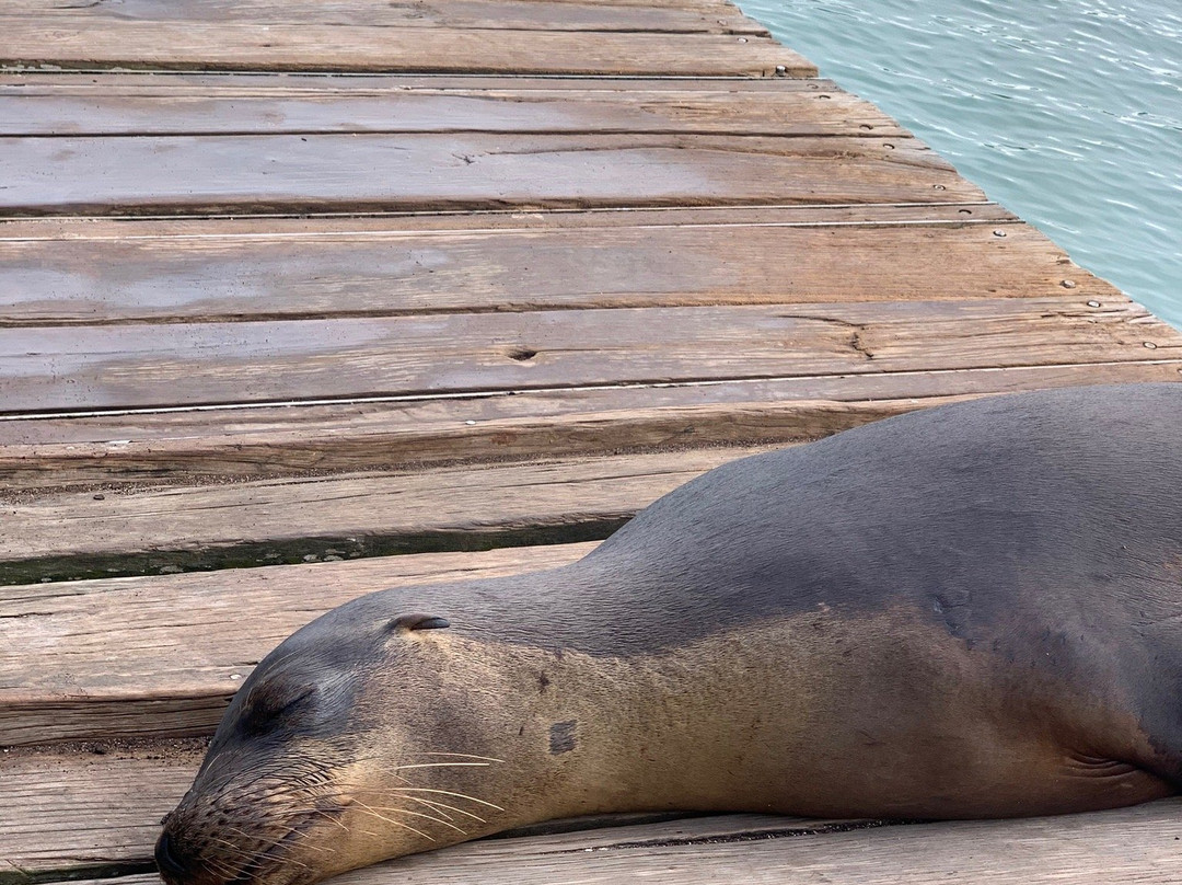 Galapagos Aquatours-阿约拉港必去景点