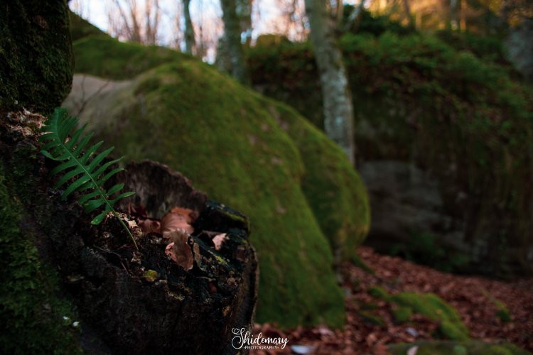 Les Roques Encantades-Susqueda必去景点