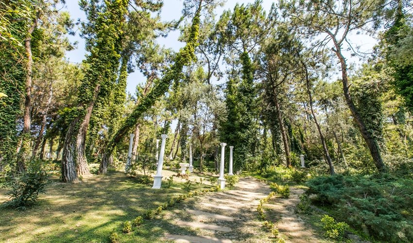 Peninsula Pine Club Boutique Hotel & Spa主图