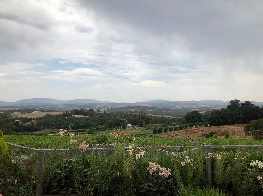 Elmswood Estate Winery-Seville必去景点