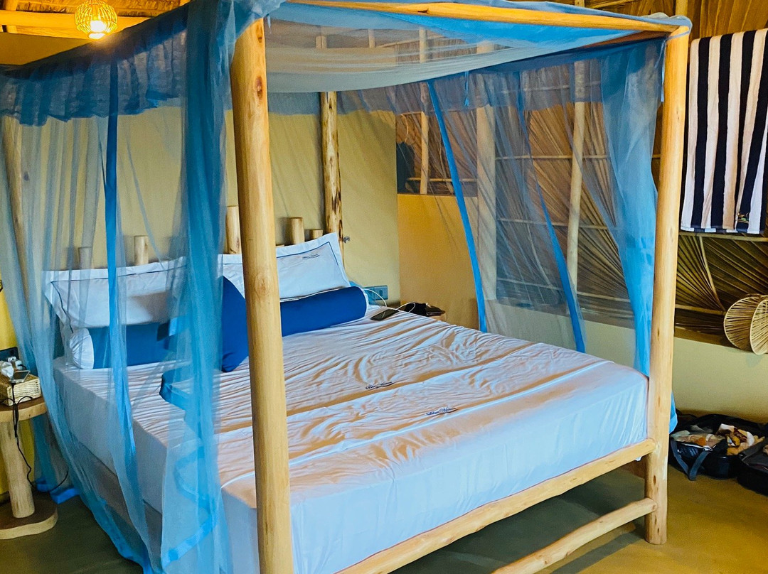 Blue Waters Arugambay主图