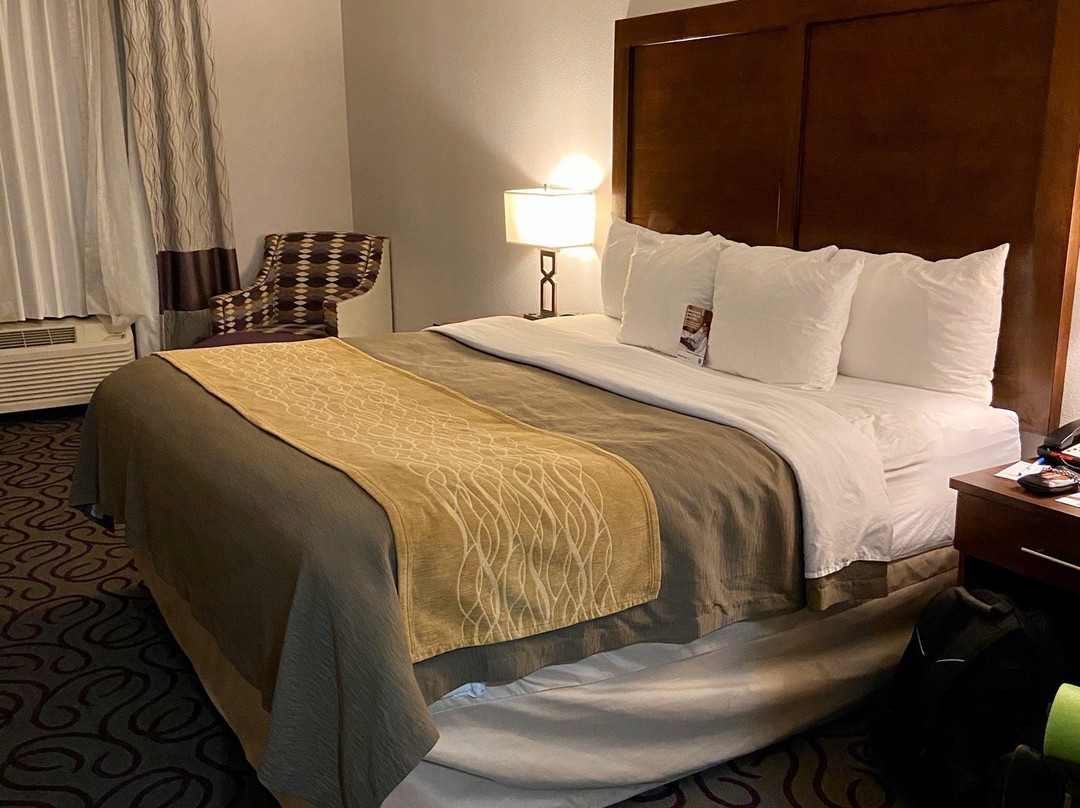 Comfort Inn & Suites Lovington主图